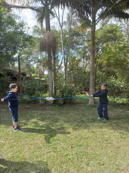 Bicho Mania 2022